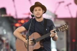 Niall Horan is banned from having house parties
