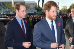 Royal family join forces for mental health awareness