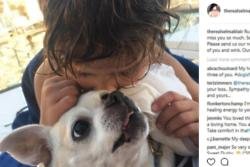 Selma Blair's 'heart is broken' after the death of her dog