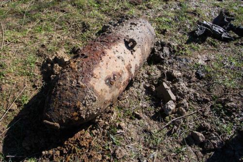 Woman throws unexploded bomb across garden