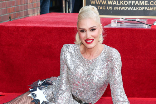 Gwen Stefani 'celebrates' being a mom