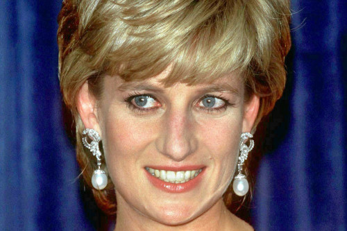 Princess Diana's missing 'superstar' dress