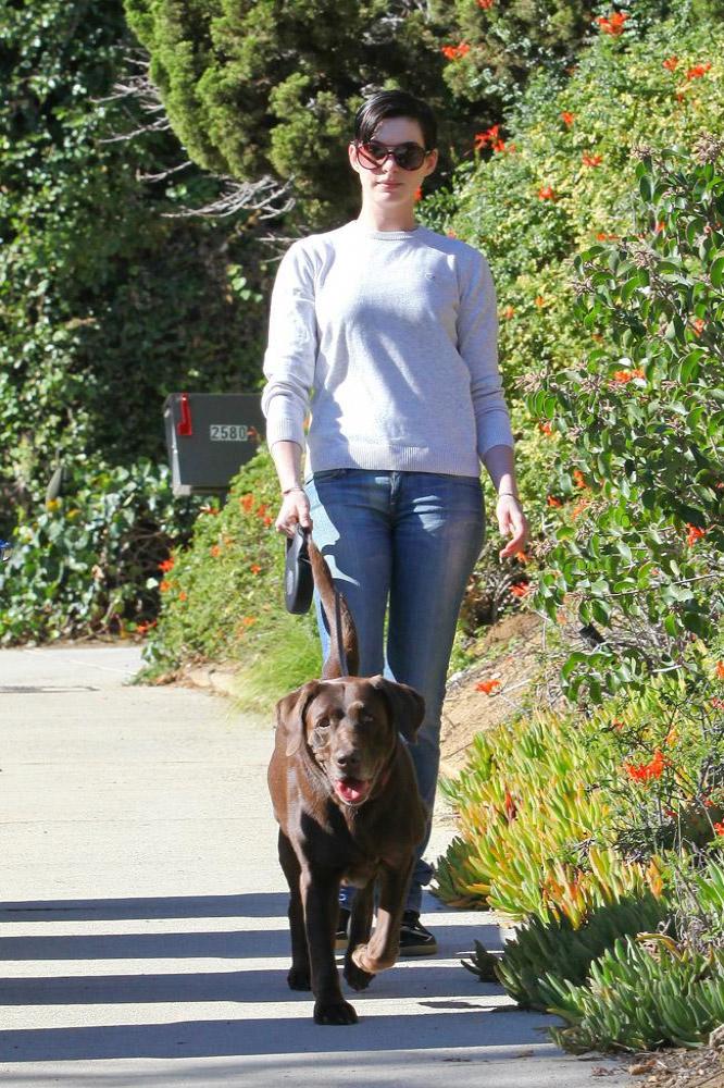 Anne Hathaway walking her dog in LA. Copyright AKM-GSI