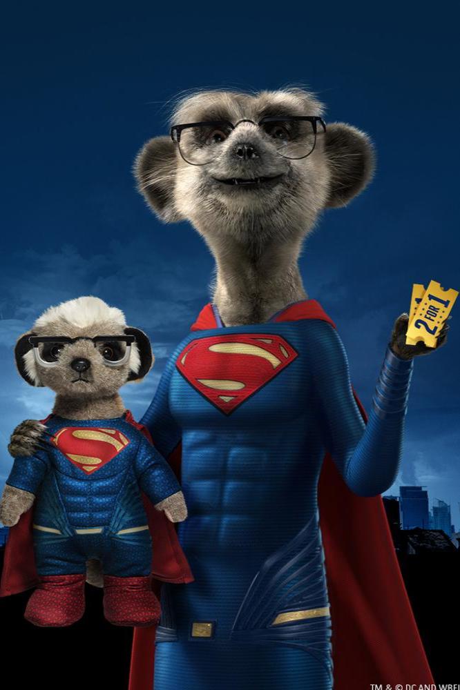 Compare The Meerkat Insurance