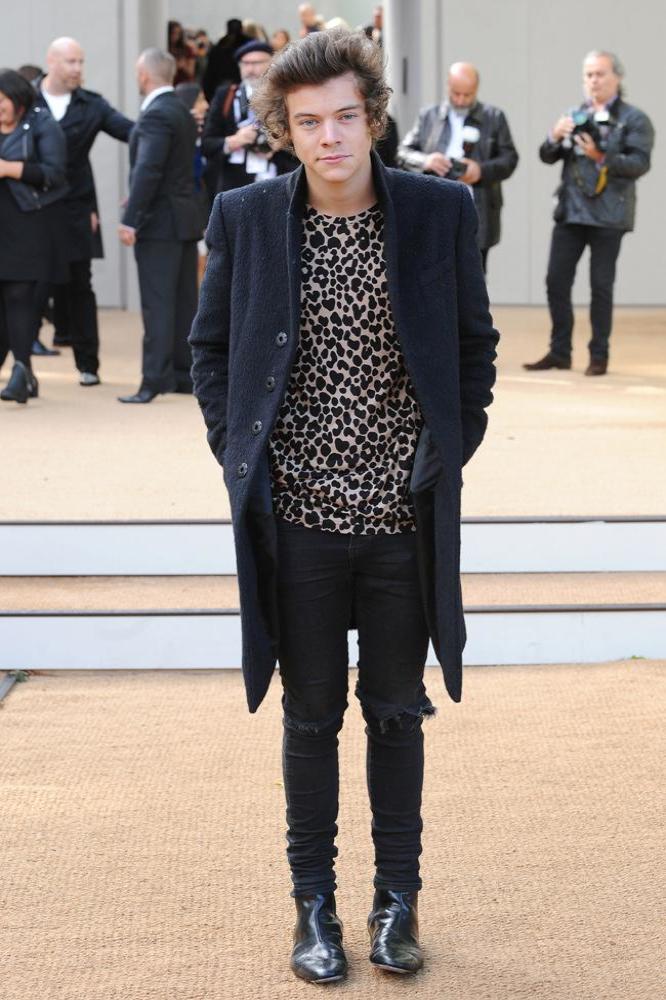 Best Harry Styles Looks - Outfit Ideas Hq 66B