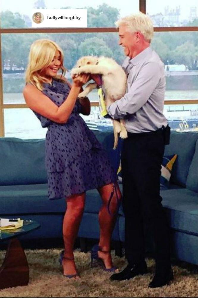 Holly Willoughby, Luna and Phillip Schofield