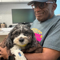 Al Roker took a break from the ‘Today’ show as his dog was taken for emergency surgery