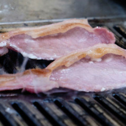 Bacon causes the brain to shrink