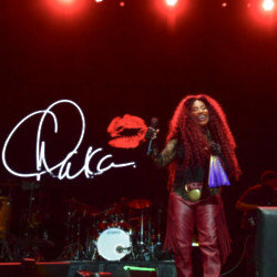 Chaka Khan didn't have any trouble telling Stevie Wonder she wasn't a fan of his song