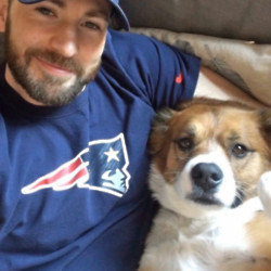 Chris Evans and his dog Dodger (c X)