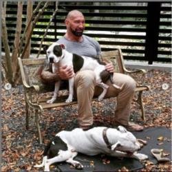 Dave Bautista with Maggie and Ollie (c) Instagram