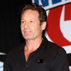 David Duchovny starred in one episode of the show
