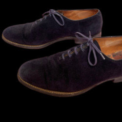 Elvis Presley's blue suede shoes are for sale