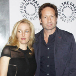 Gillian Anderson and David Duchovny starred on the hit sci-fi show