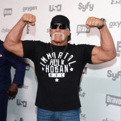 Hulk Hogan pulled the plug on his own biopic because he thought it was 'too dark' for the screen