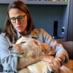 Jennifer Garner's Golden Retriever Birdie has died (c) Instagram