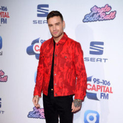 Liam Payne didn't feel like he could 'teach' his son anything before his rehab stint