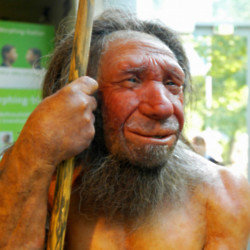 Autism has been linked to Neanderthal genetics