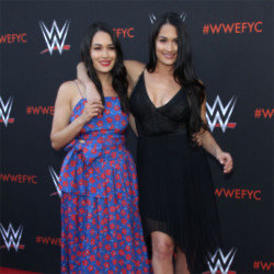 Nikki and Brie Bella