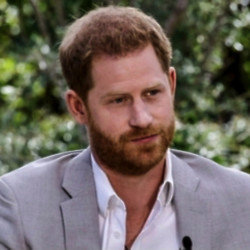 Prince Harry will speak out about 'The Internet Lie Machine'