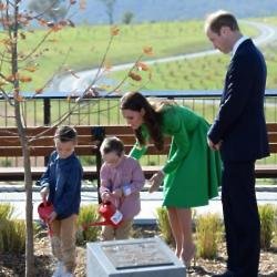 Prince William and Catherine plant tree