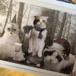 Taylor Swift's Christmas cards via Twitter (c)