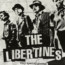 The Libertines are playing a homecoming show at Gunnersbury Park next summer