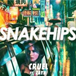 Zayn Malik and Snakehips Cruel artwork 