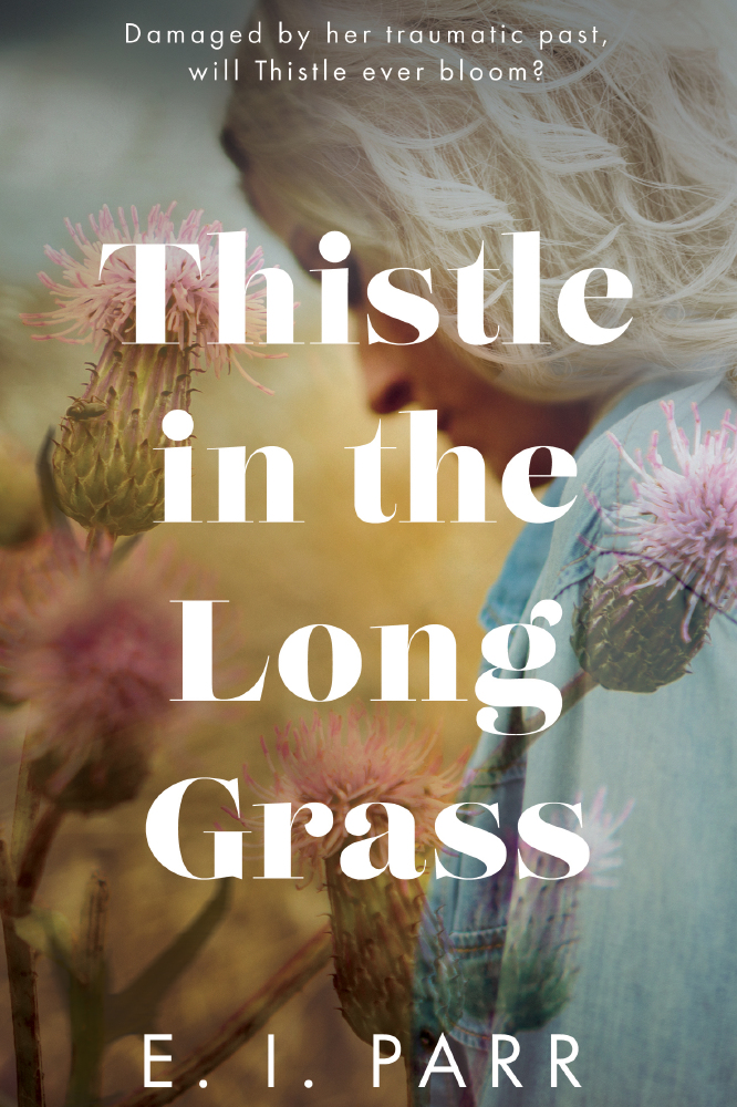 Thistle In The Long Grass