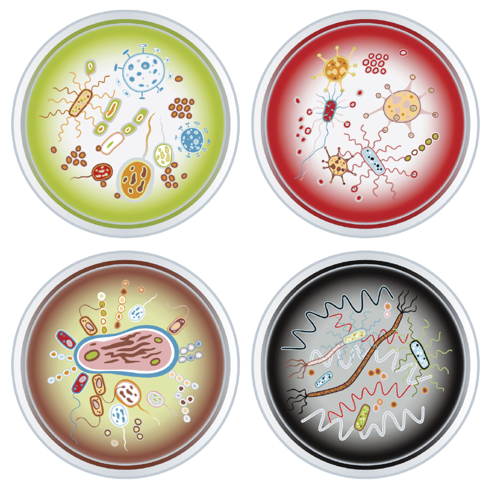 How much bacteria is lurking in your home?