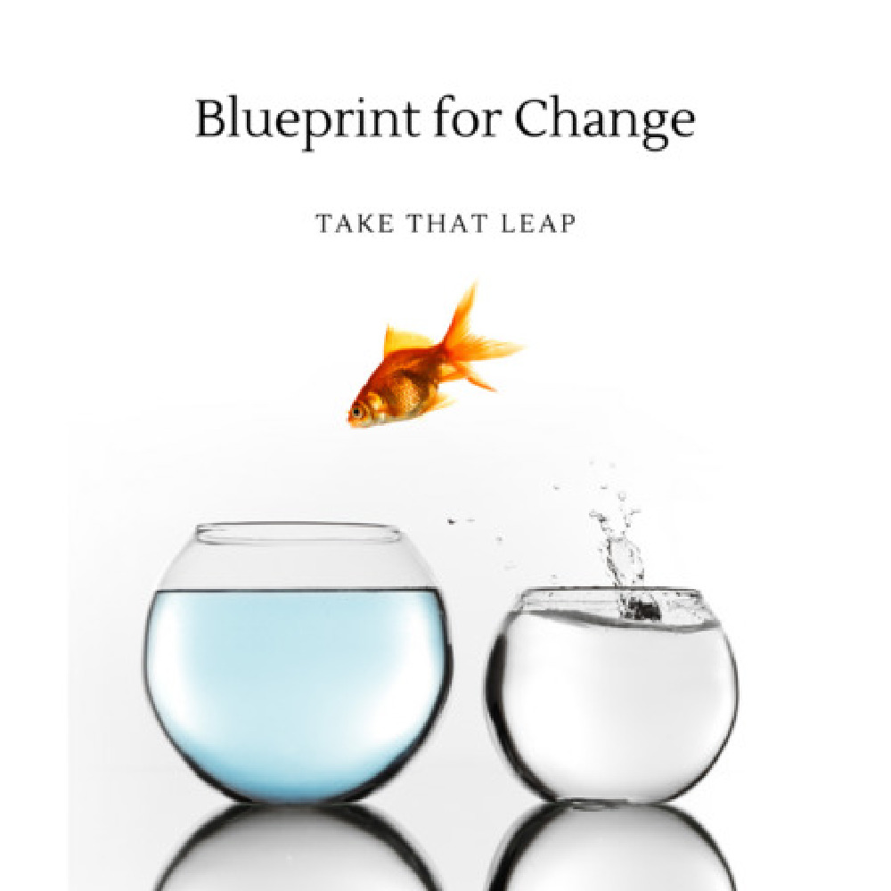 Blueprint for Change