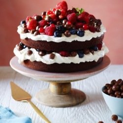 Chocolate Nibbles Summer Fruit Gateau