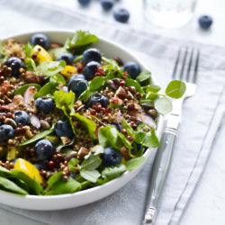 Blueberry Quinoa Salad