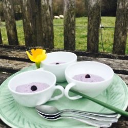 Blueberry cashew puddings