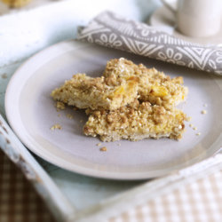 Delicious Apple Crumb Breakfast Bars