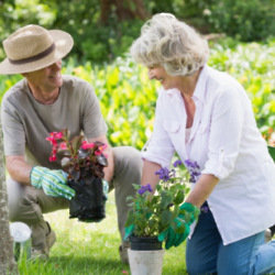 Simple tips to help relieve joint pain whilst gardening
