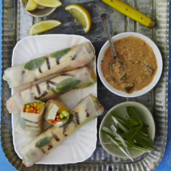 Grilled Tofu and Tangerine Summer rolls with Spicy Peanut Sauce