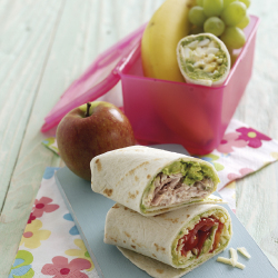 Kids Lunchbox Wraps