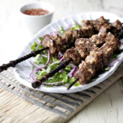 Lamb Kebabs Marinated in Ginger and Tamarind