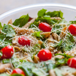 Low Carb Tomato and Chicken Pasta Salad