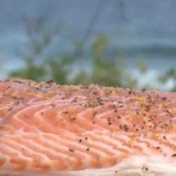 How To Cook Planked Salmon With Maple Syrup