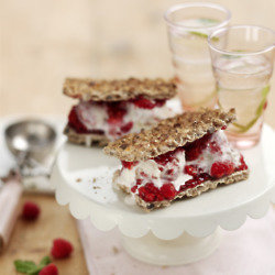 Ryvita® Raspberry Ripple Ice Cream Sandwich