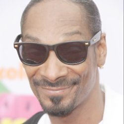 Snoop Dogg owed £297,711