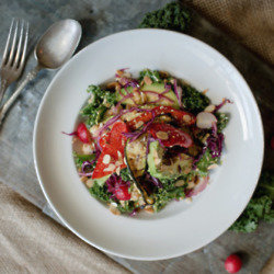 Kale Salad will Almond Ginger Dressing