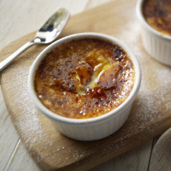 Vanilla Crème Brulee