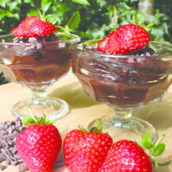 Organic Vegan Chocolate Mousse