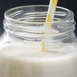 Vegan Vanilla Milkshake Blast