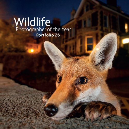 10 Images from Wildlife Photographer of the Year Portfolio 26